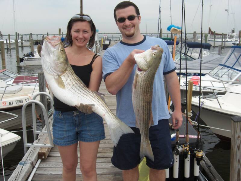 Raritan Bay Weakfish