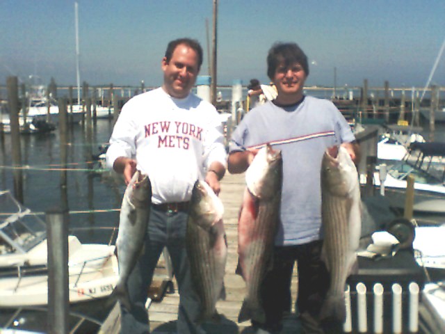 Bluefish and stripers caught during a Blitz