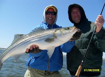 Bluefish and stripers caught during a Blitz